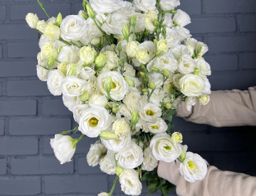 На складе новое поступление! Срезанные цветы